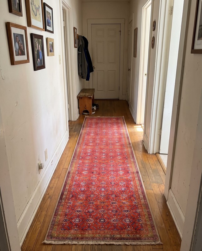 Carew Border rug, red, 12 Ft Runner, in a room