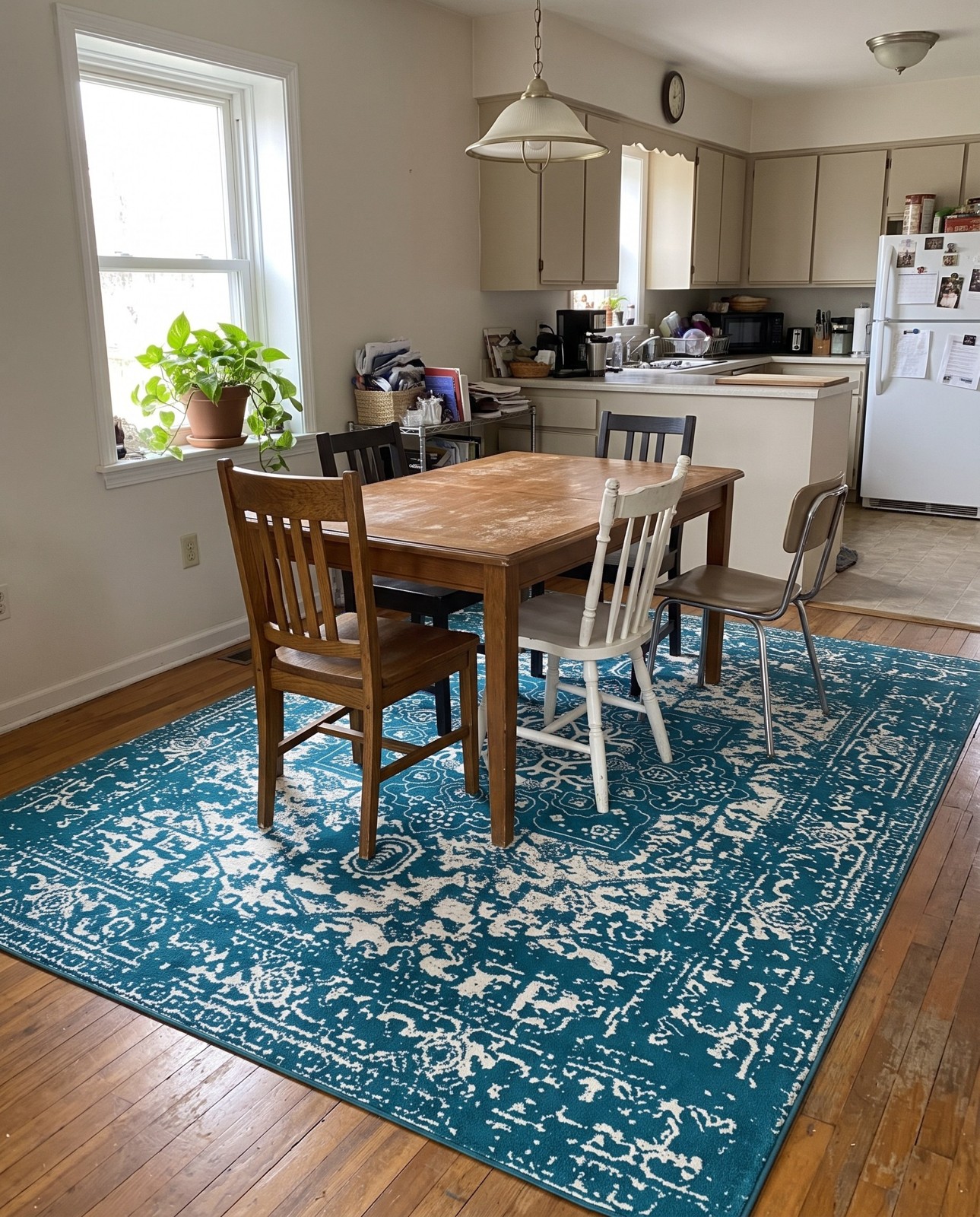 3' x 5' 3 Birch · Border rug, turquoise