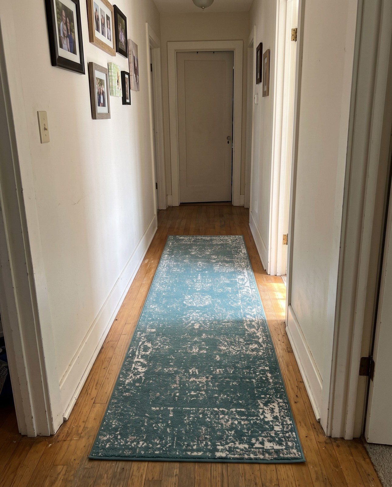 2' x 3' Blakemore · Distressed medallion rug, turquoise and ivory