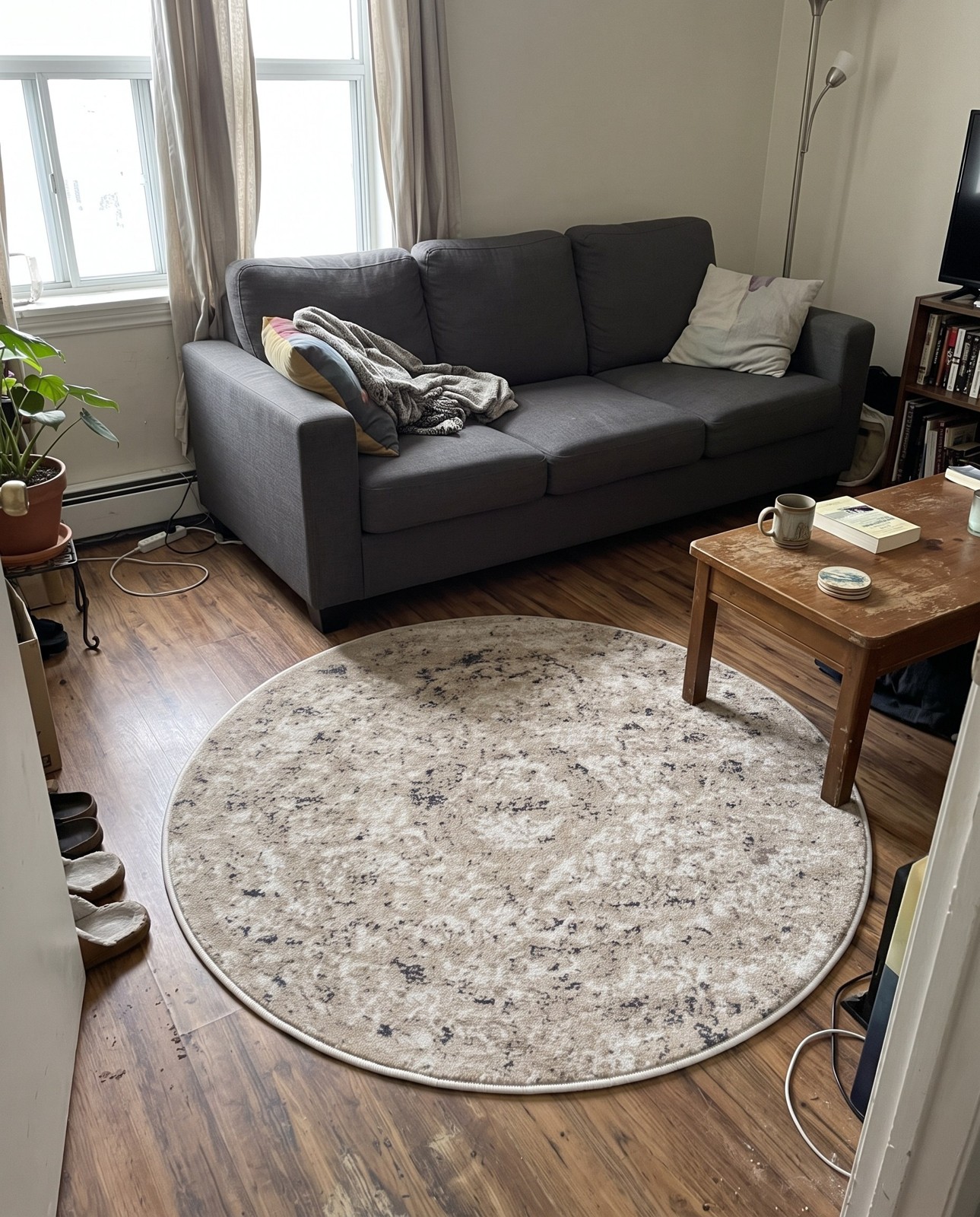 3' x 5' 3 Priestley · Distressed medallion rug, beige and gray