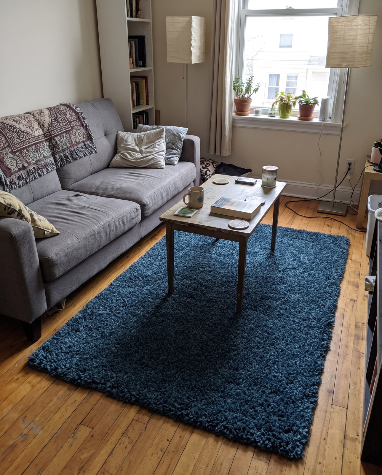 3' 10 x 6' Easton · Border Shag Rug, dblue