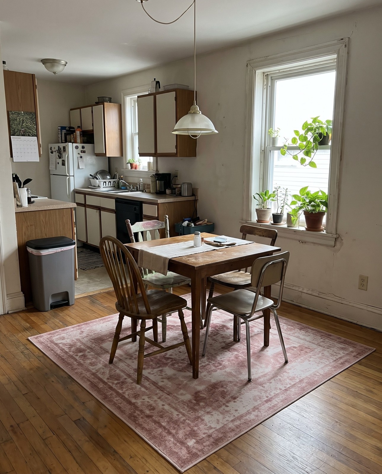 5' x 5' Blakemore · Distressed medallion rug, rose and ivory
