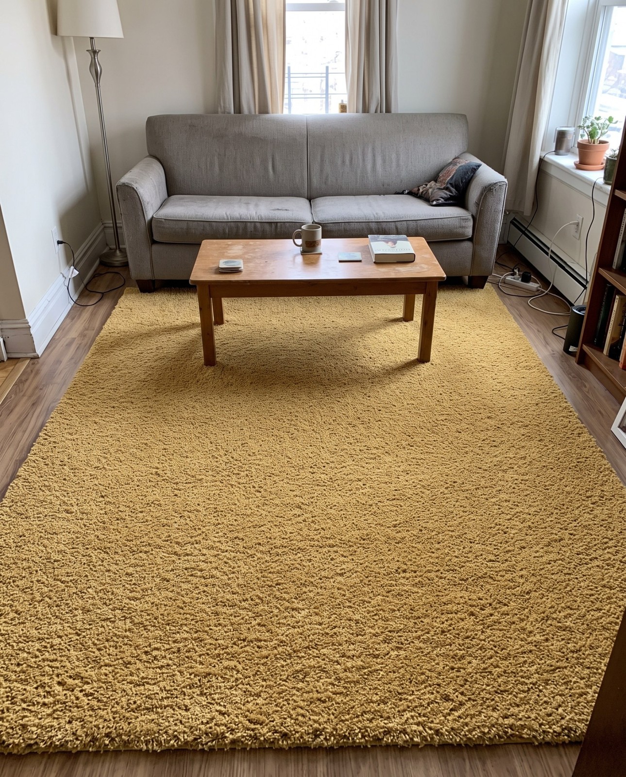 8' x 10' Hartwell · Shag Rug, yellow