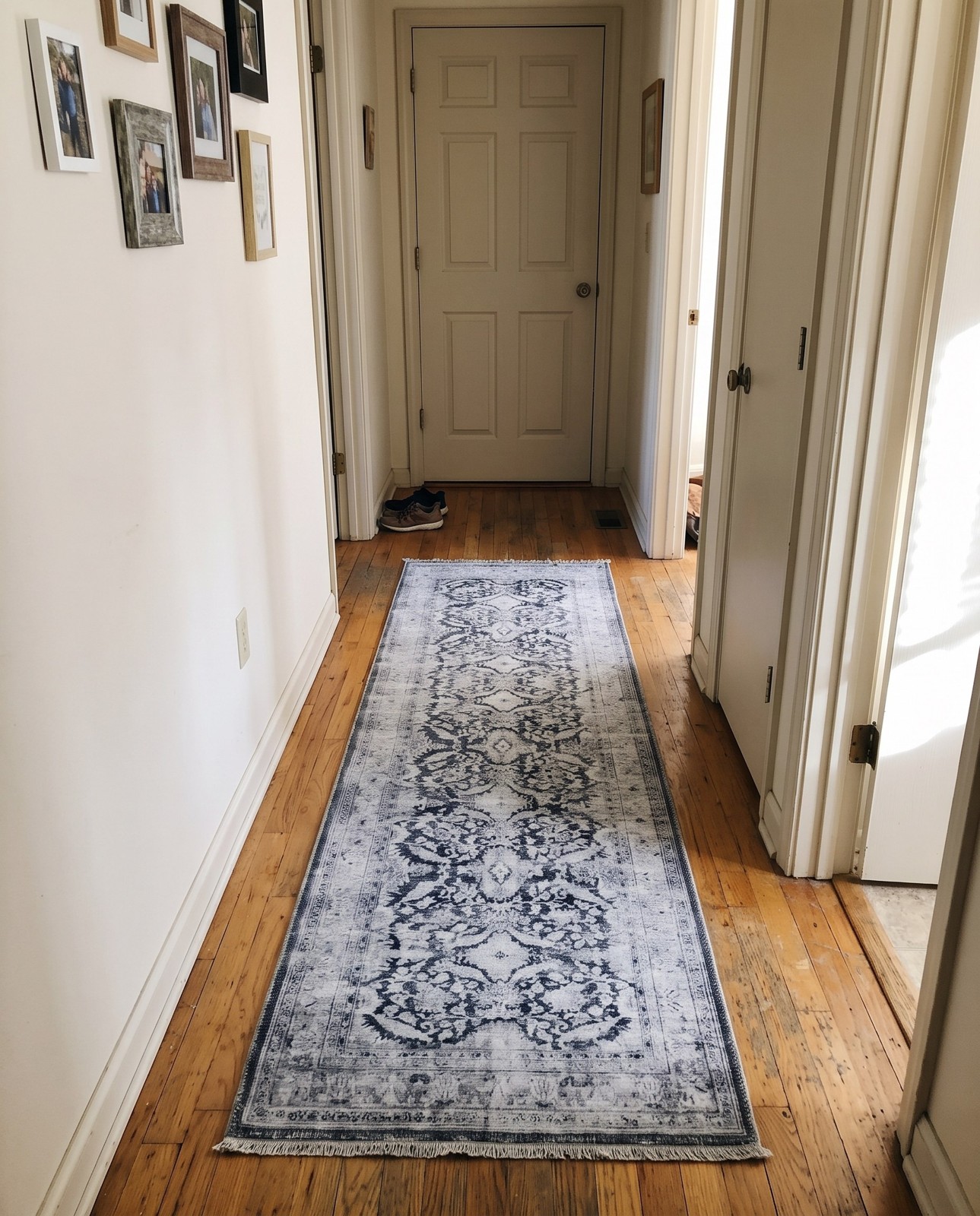 2' x 3' Augusta · Border Washable Rug, charcoal