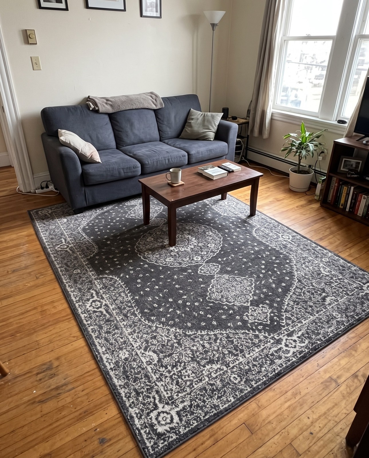 6' x 9' Eudora · Medallion rug, dark gray and ivory