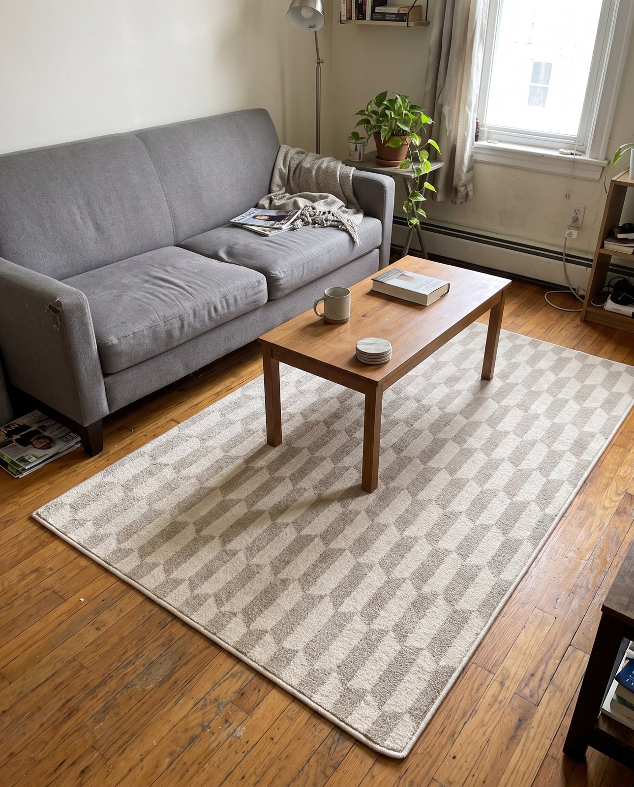 4' x 6' Sidney · Geometric rug, ivory