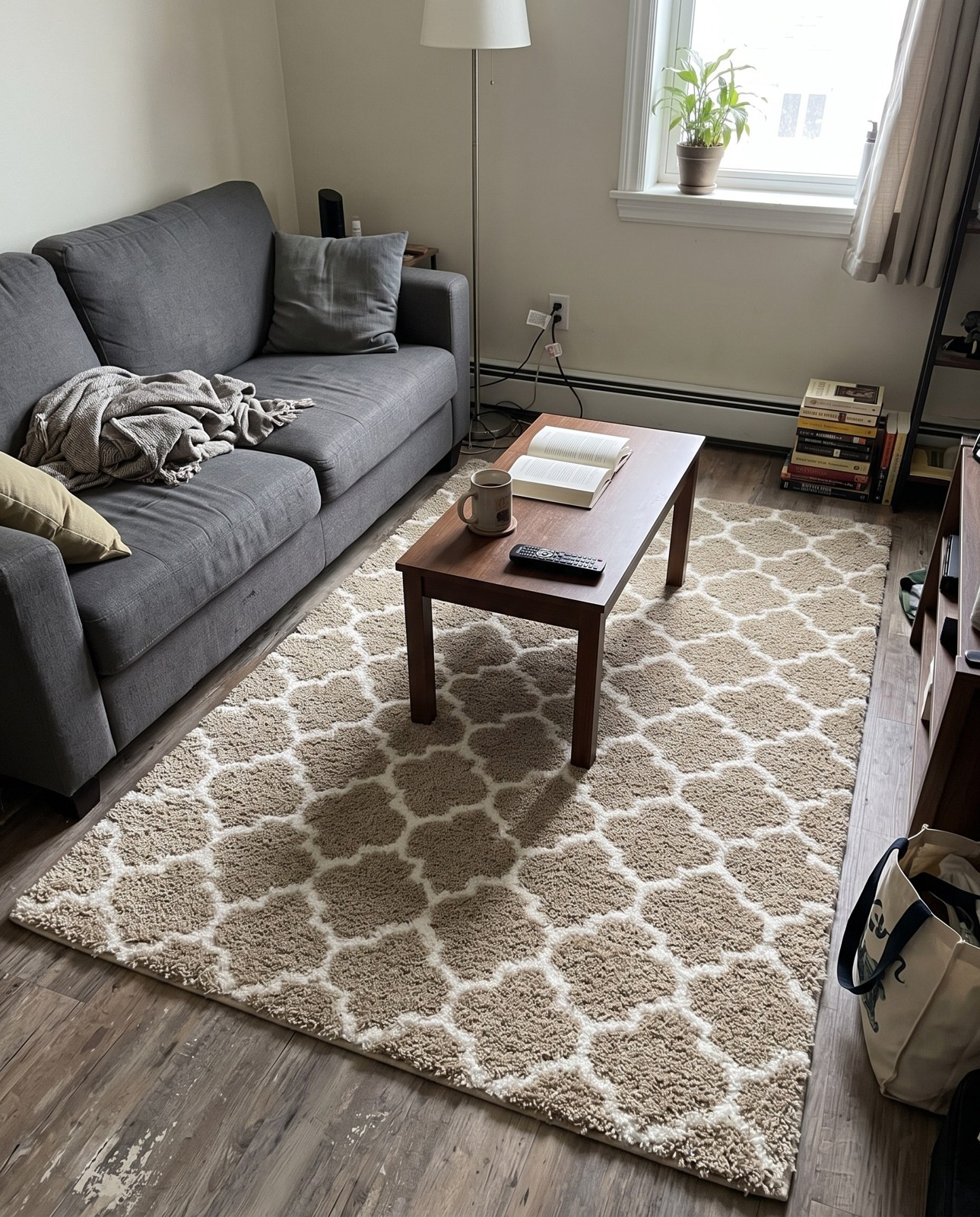 4' x 6' Jameson · Trellis Shag Rug