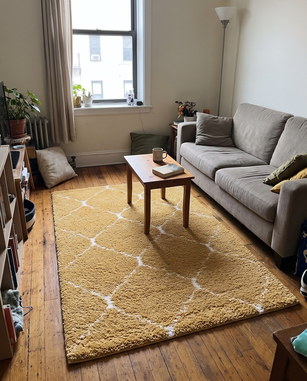 5' x 8' Jameson · Lattice Shag Rug