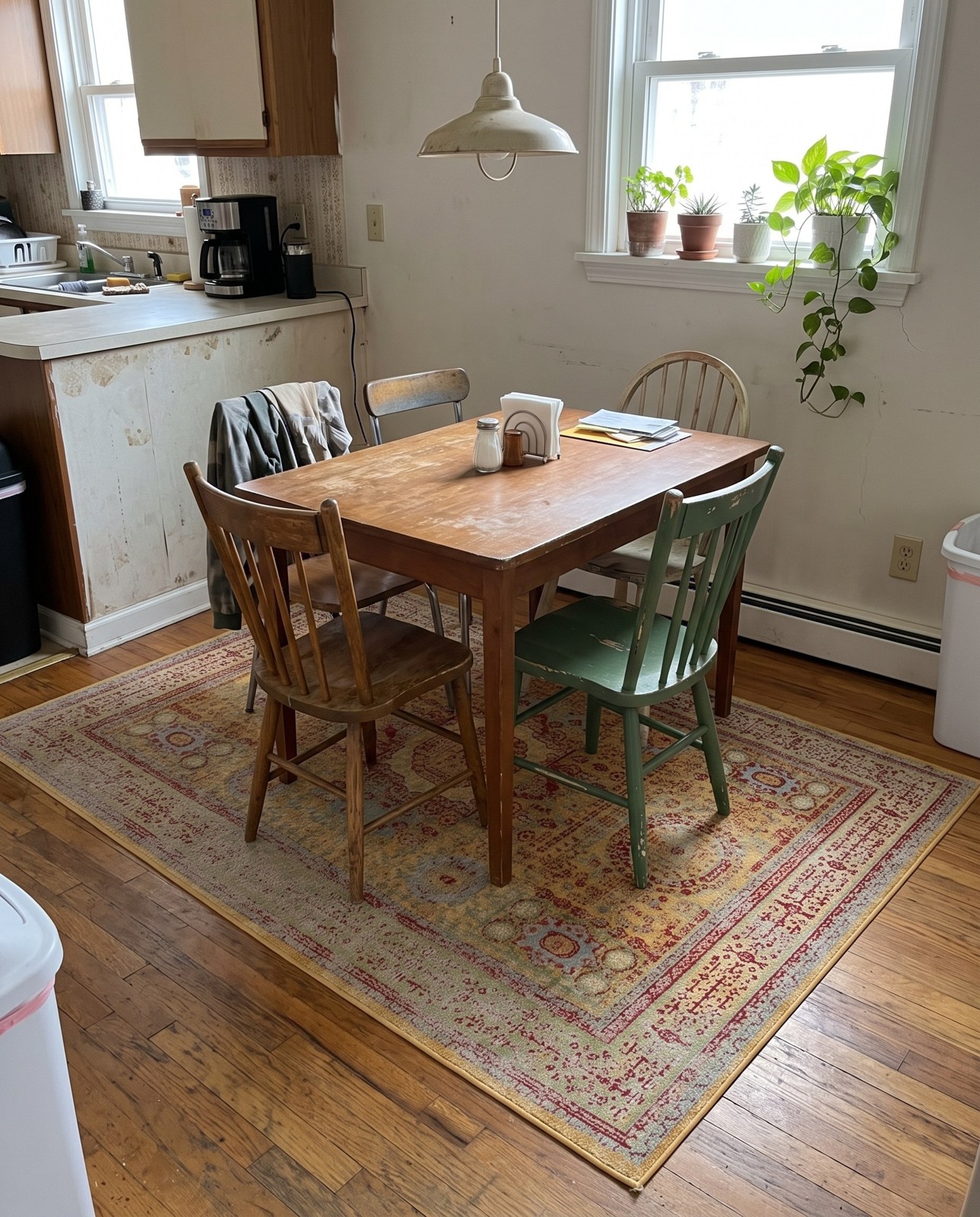 2' x 3' Delmar · Border rug