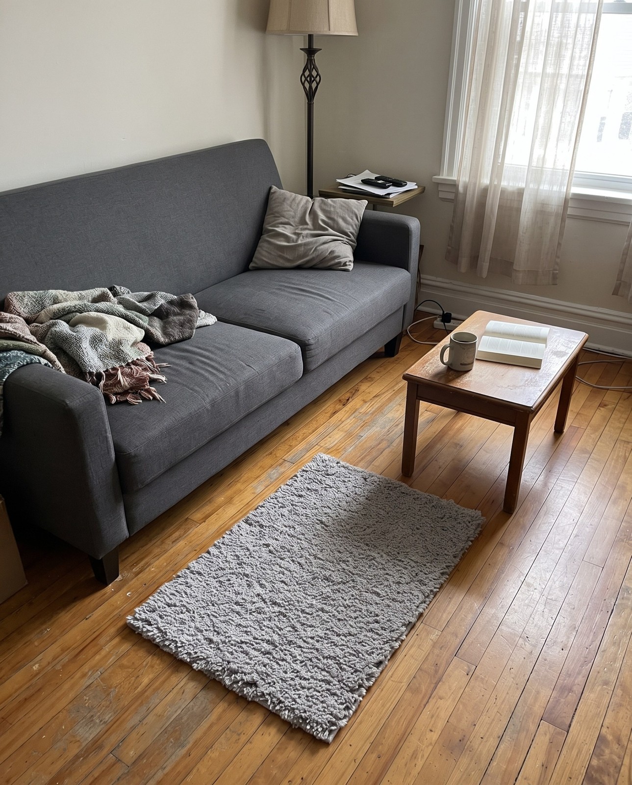 2' 2 x 3' Hartwell · Solid Shag Rug, lightgray